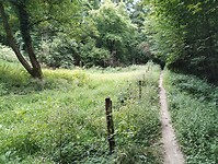 IMG_20250814_131106986