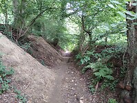 IMG_20250814_130917536