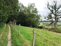 IMG_20250814_130028365