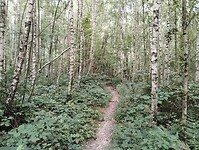 IMG_20250814_125010498