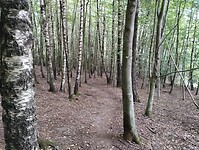IMG_20250814_124651690