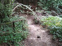 IMG_20250814_123928519