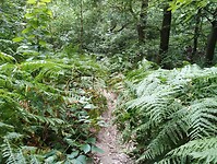 IMG_20250814_123851925