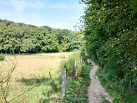 IMG_20250814_115421985_HDR