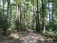 IMG_20250814_113743561