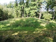 IMG_20250814_113338775