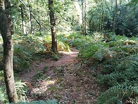IMG_20250814_113207359