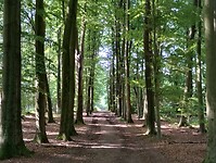 IMG_20250814_110145977_HDR