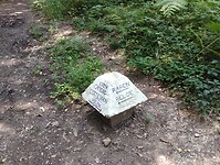 IMG_20250814_105903019