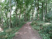 IMG_20250814_105153165