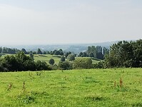 IMG_20250814_104432435