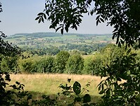 IMG_20250814_103931784_HDR