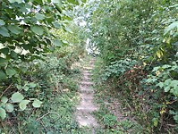 IMG_20250814_102429655