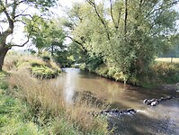 IMG_20250814_100911557