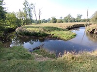 IMG_20250814_100429741
