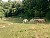IMG_20250814_095843633_HDR