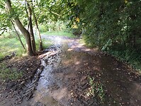 IMG_20250814_095119729