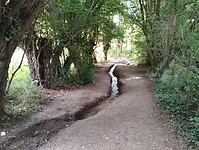 IMG_20250814_095030258