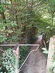 IMG_20250814_094701435