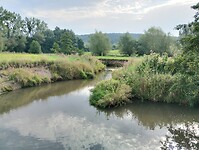 IMG_20250814_093335597_HDR