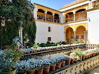IMG_20251010_132359069_HDR