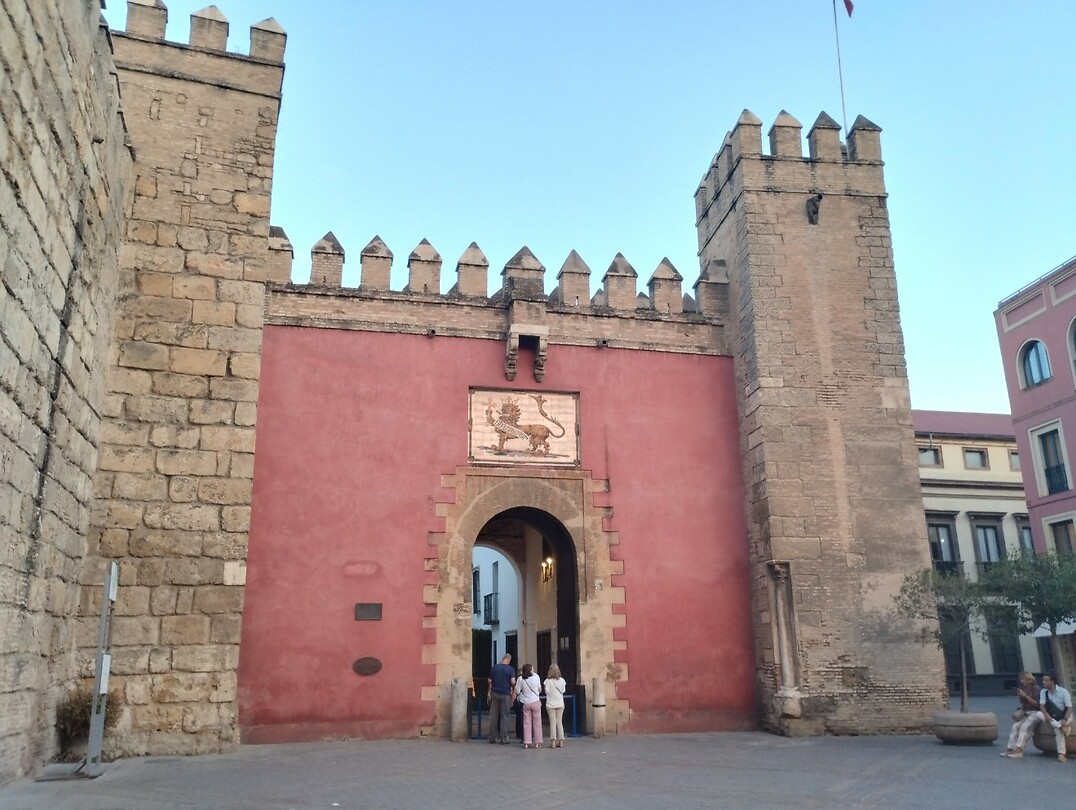 IMG_20251010_194922785_HDR