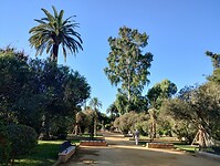 IMG_20251011_104303233_HDR