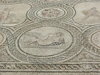 IMG_20251011_123620278