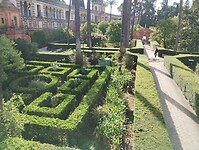 IMG_20251012_111222046