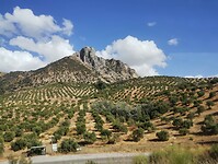 IMG_20251013_170031648