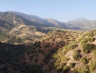 IMG_20251013_092749139