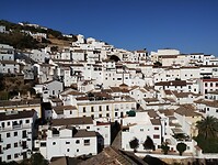 IMG_20251013_104116778