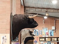 IMG_20251014_095643145
