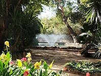 IMG_20251014_124523951