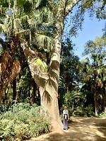 IMG_20251014_125200164_HDR