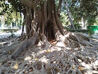 IMG_20251014_125735695