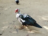 IMG_20251014_124810766