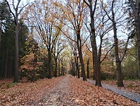 IMG_20251101_155927238_HDR