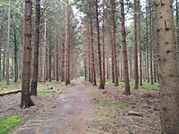 IMG_20251101_154934193