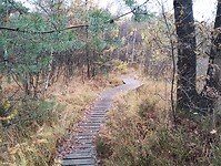IMG_20251101_144626957
