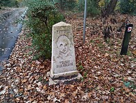 IMG_20251101_143445827