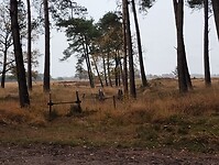 IMG_20251101_142014557