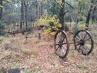 IMG_20251101_142006744