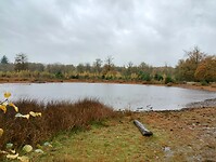 IMG_20251101_120840885_HDR