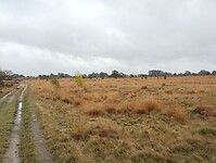 IMG_20251101_115109275
