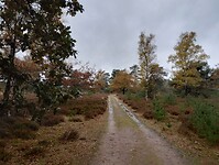 IMG_20251101_113352812_HDR