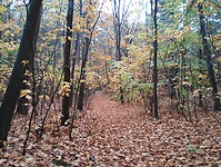IMG_20251101_110057467