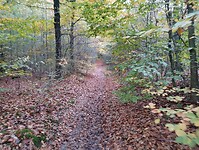 IMG_20251102_162805995