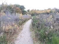 IMG_20251102_162155767