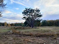 IMG_20251102_161736006_HDR